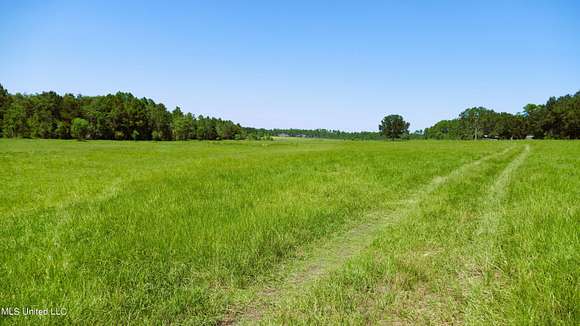 91 Acres of Land for Sale in Vancleave, Mississippi