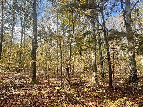 72 Acres of Land for Sale in Ramer, Alabama