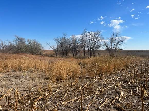 80 Acres of Recreational Land & Farm for Sale in Damar, Kansas