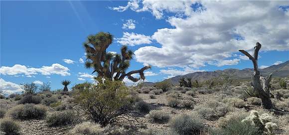 6 Acres of Land for Sale in Meadview, Arizona