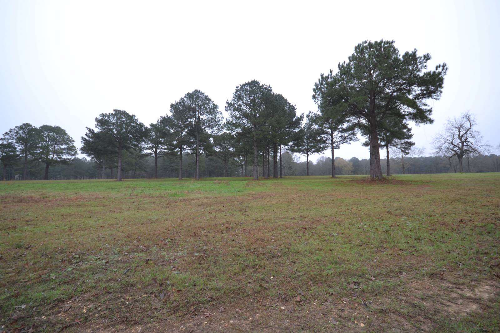 263 Acres of Recreational & Residential Land for Sale in Magnolia, Arkansas