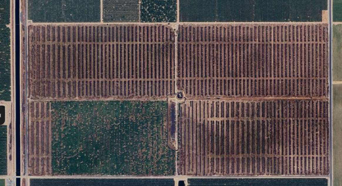 314 Acres of Agricultural Land for Sale in Earlimart, California