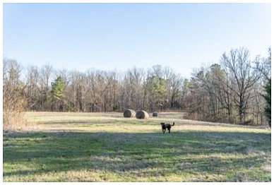 96.7 Acres of Recreational Land & Farm for Sale in Cascilla, Mississippi