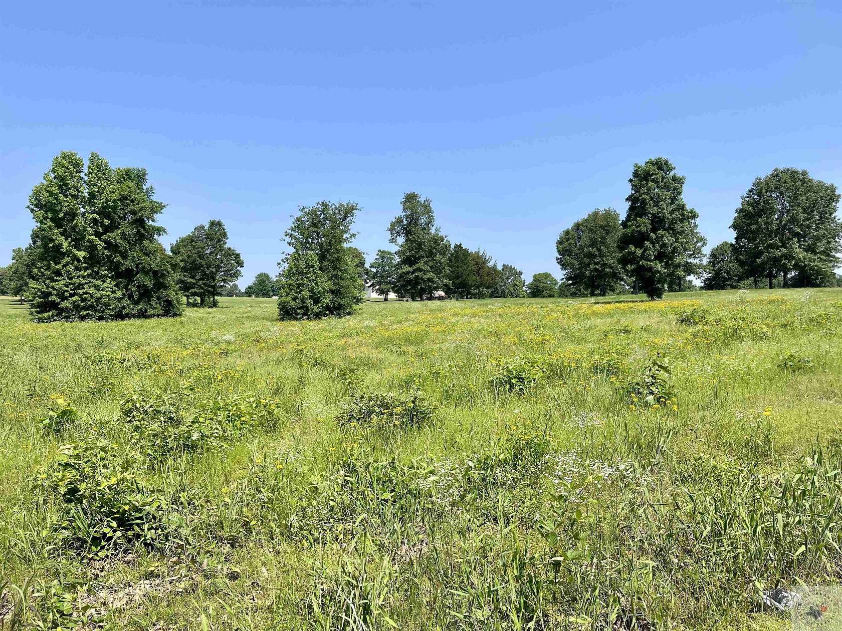 1.5 Acres of Residential Land for Sale in Texarkana, Arkansas