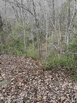 0.22 Acres of Land for Sale in Crossville, Tennessee