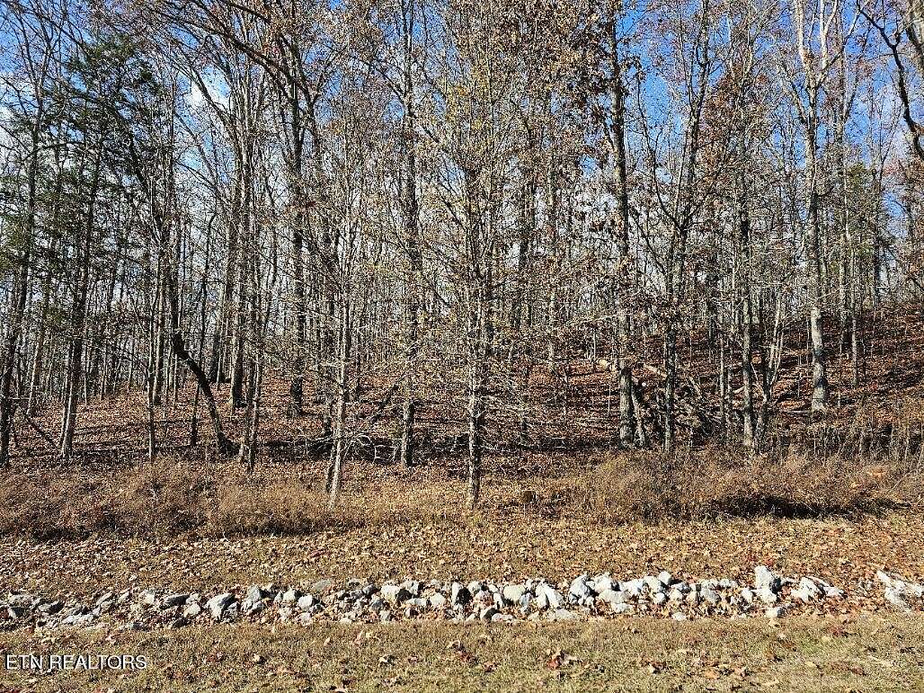 0.99 Acres of Residential Land for Sale in Rockwood, Tennessee