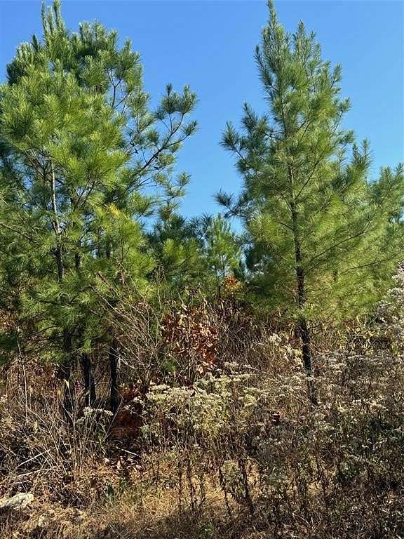 1.339 Acres of Residential Land for Sale in Broken Bow, Oklahoma