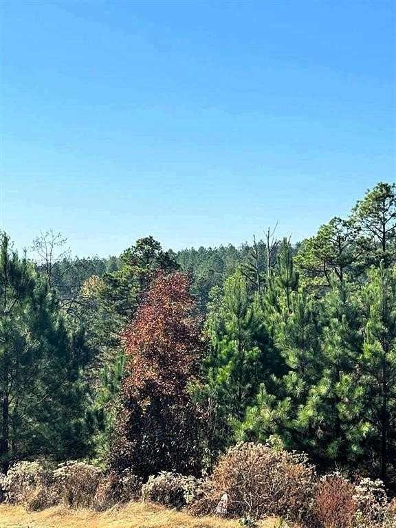 1.34 Acres of Residential Land for Sale in Broken Bow, Oklahoma