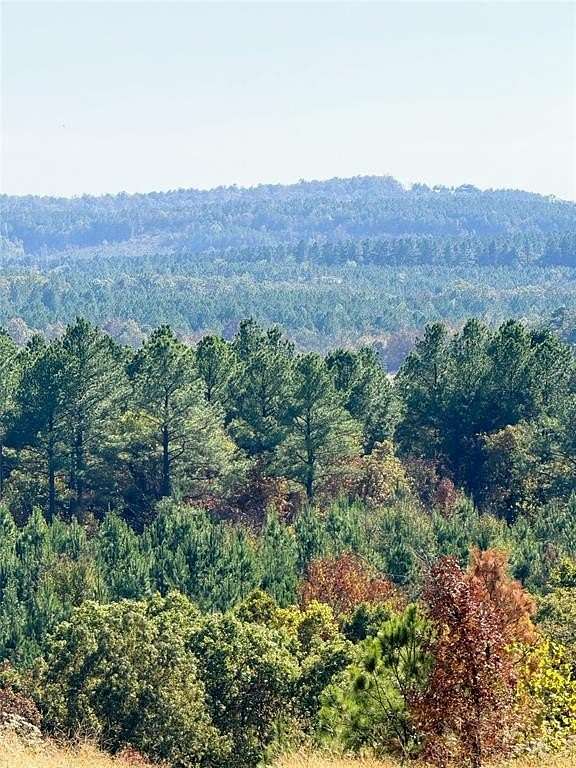 1.308 Acres of Residential Land for Sale in Broken Bow, Oklahoma