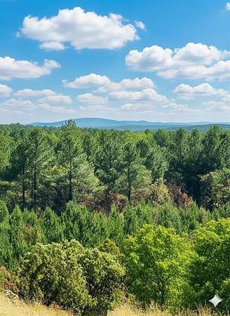 1.3 Acres of Residential Land for Sale in Broken Bow, Oklahoma