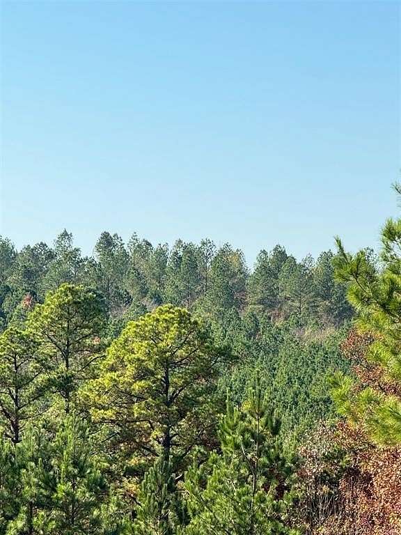 1.328 Acres of Residential Land for Sale in Broken Bow, Oklahoma