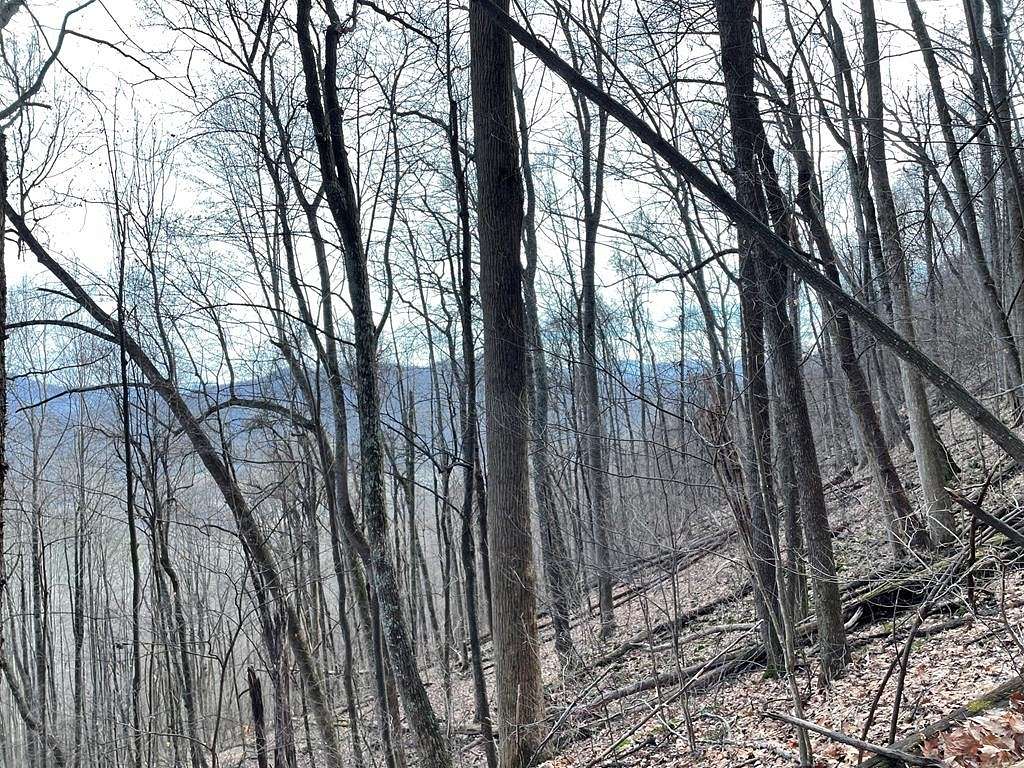 0.69 Acres of Land for Sale in Waynesville, North Carolina