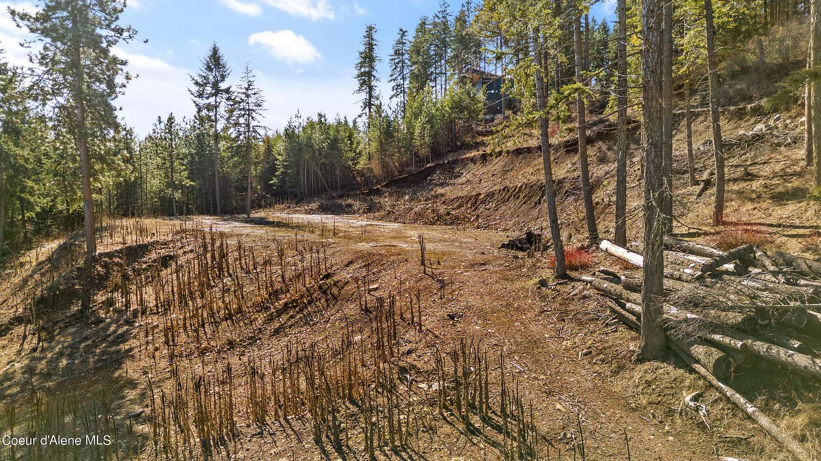 3.8 Acres of Residential Land for Sale in Coeur d'Alene, Idaho