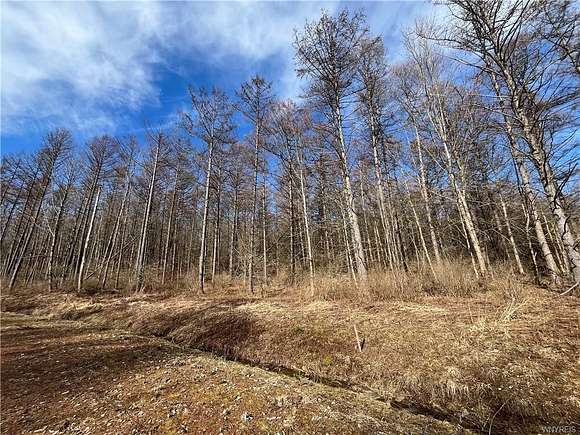 5.2 Acres of Residential Land with Home for Sale in Ellicottville, New York