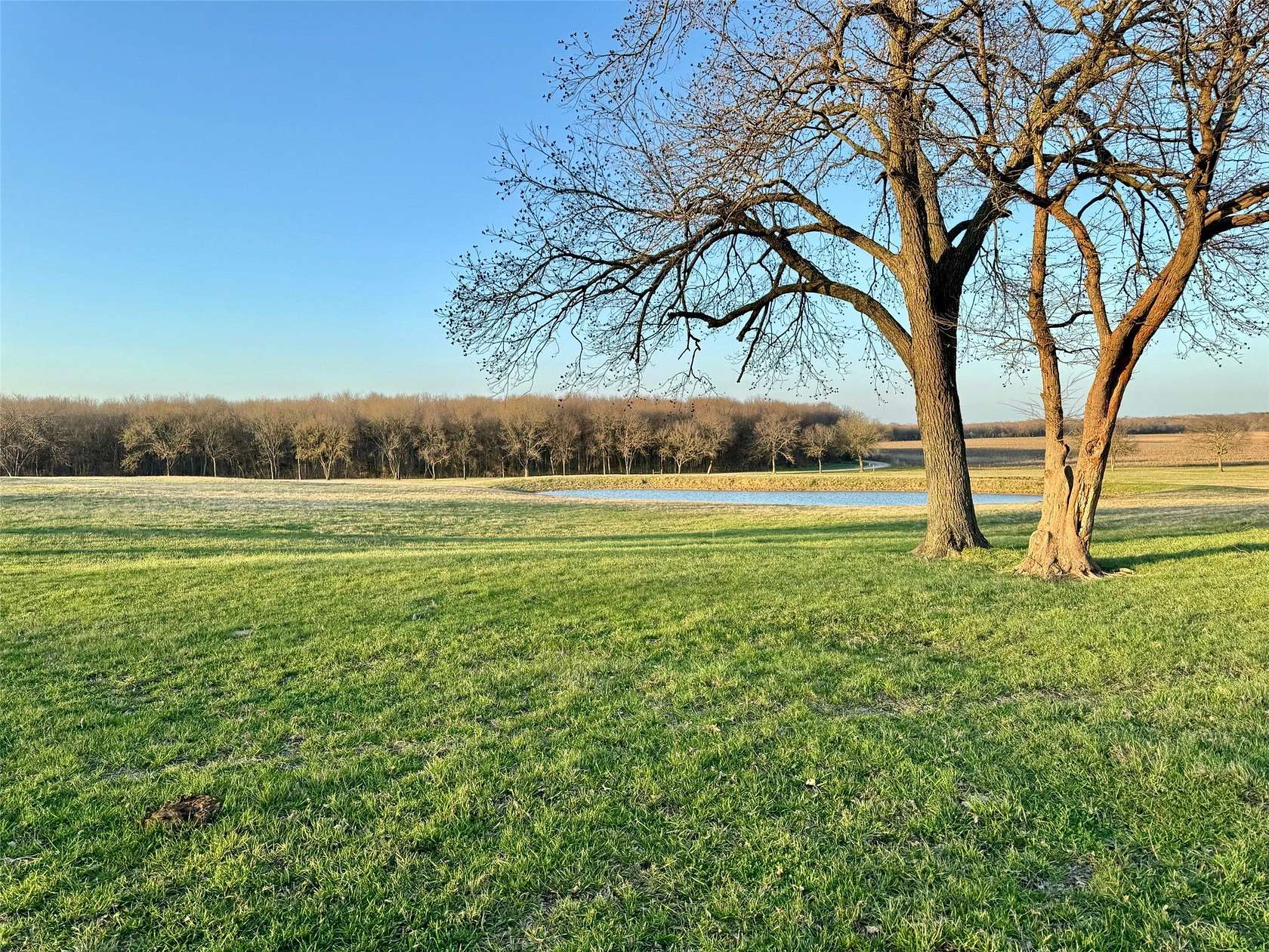 42 Acres of Land for Sale in Bonham, Texas