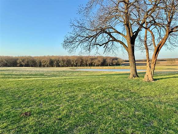 42 Acres of Recreational Land for Sale in Bonham, Texas