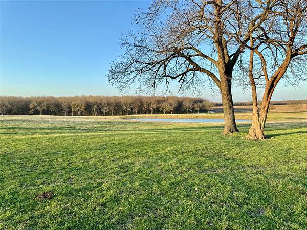 42 Acres of Land for Sale in Bonham, Texas