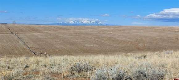 4.2 Acres of Recreational Land & Farm for Sale in Cahone, Colorado