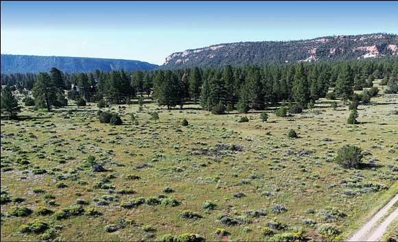 5 Acres of Residential Land for Sale in Ramah, New Mexico