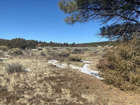 5 Acres of Residential Land for Sale in Ramah, New Mexico - LandSearch