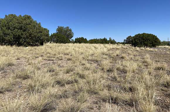 0.33 Acres of Residential Land for Sale in Concho, Arizona