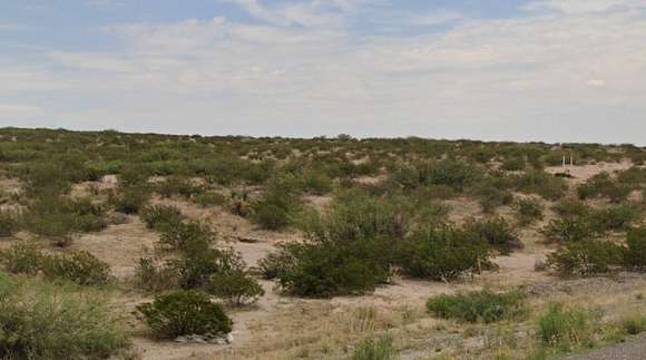 20.1 Acres of Recreational Land for Sale in Fort Hancock, Texas