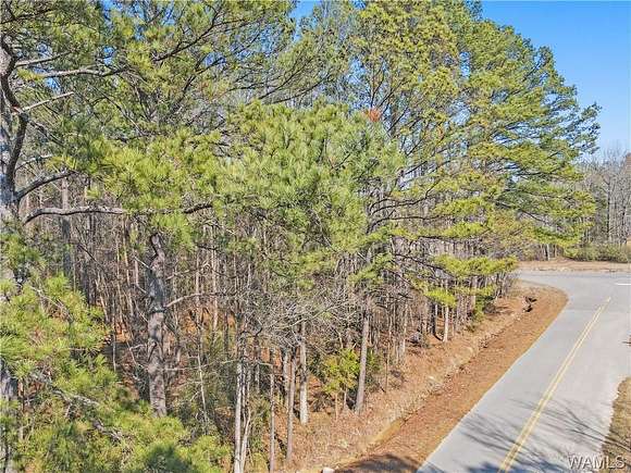 Land for Sale in Northport, Alabama