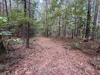 131 Acres of Land for Sale in Spring Hill, Louisiana