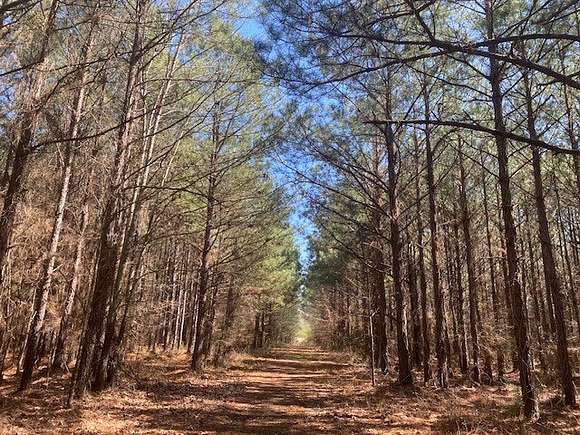 130.55 Acres of Recreational Land for Sale in Spring Hill, Louisiana