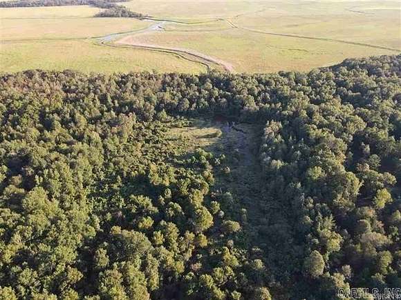 80 Acres of Recreational Land & Farm for Sale in Houston, Arkansas