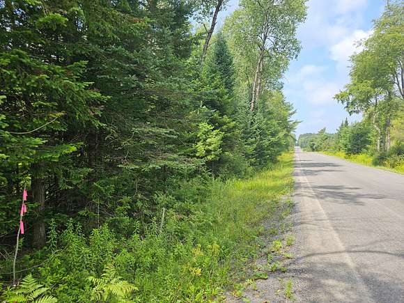 17.97 Acres of Recreational Land for Sale in Cold Brook, New York