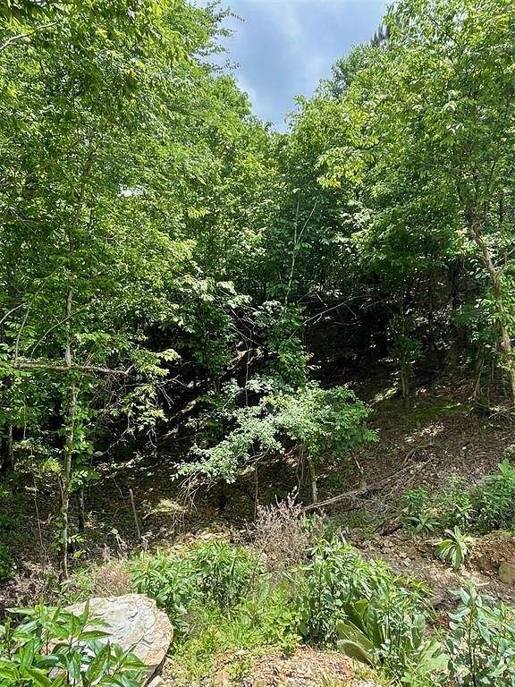 1.207 Acres of Residential Land for Sale in Broken Bow, Oklahoma