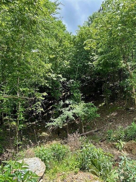 1.2 Acres of Residential Land for Sale in Broken Bow, Oklahoma