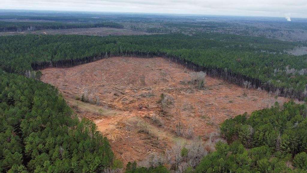 30 Acres of Recreational Land for Sale in Kosciusko, Mississippi