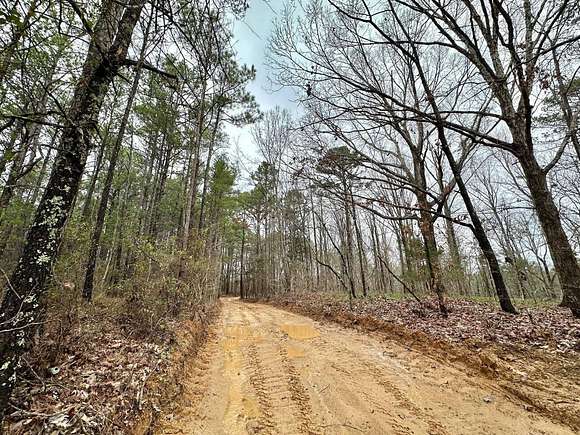 30 Acres of Recreational Land for Sale in Kosciusko, Mississippi