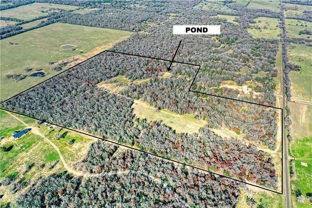 55 Acres of Recreational Land for Sale in Bremond, Texas