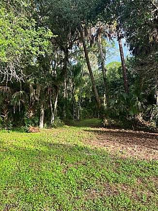 Immokalee Land For Sale