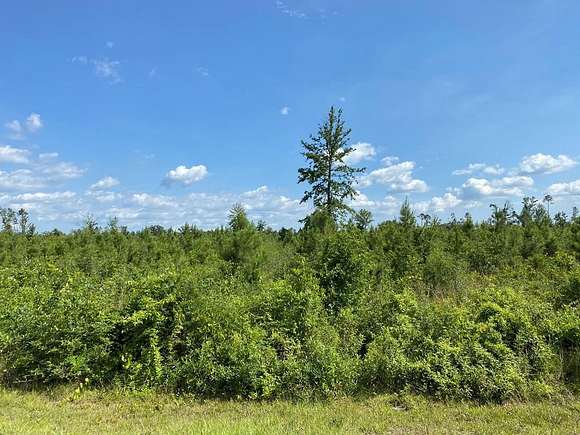 10 Acres of Residential Land for Sale in Wewahitchka, Florida
