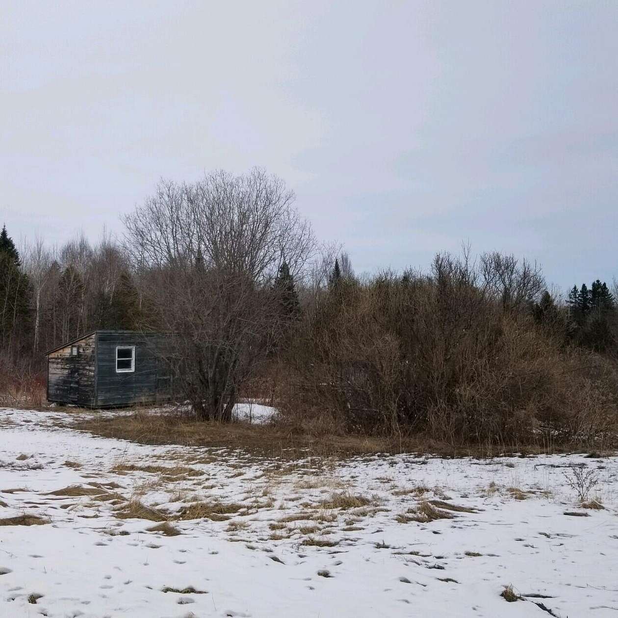 3.18 Acres of Residential Land for Sale in Blaine, Maine