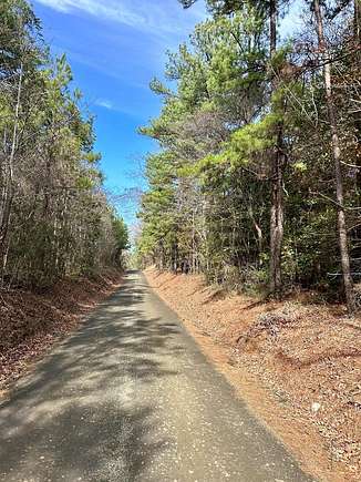 25.3 Acres of Land for Sale in San Augustine, Texas
