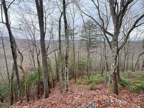 1.5 Acres of Land for Sale in Bryson City, North Carolina