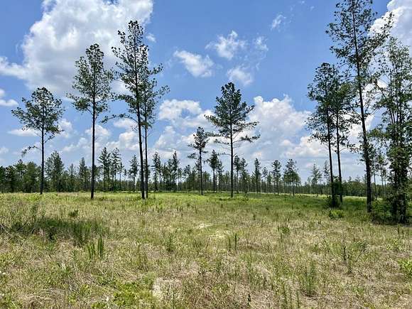 25 Acres of Commercial Land for Sale in Robertsdale, Alabama