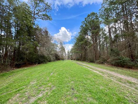 35 Acres of Recreational Land for Sale in Robertsdale, Alabama