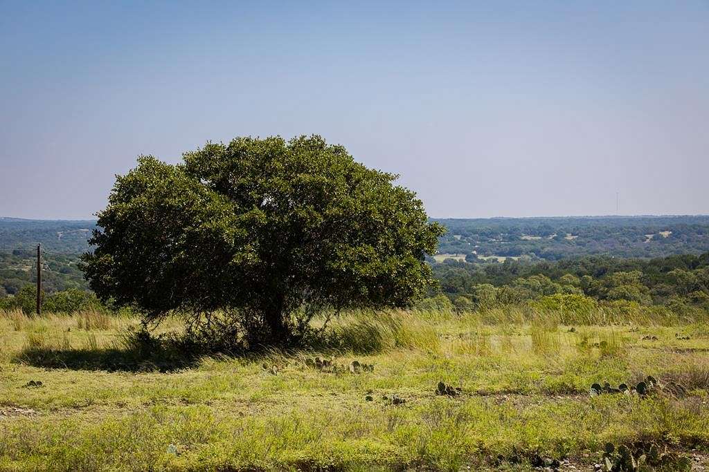 388 Acres of Recreational Land for Sale in Harper, Texas