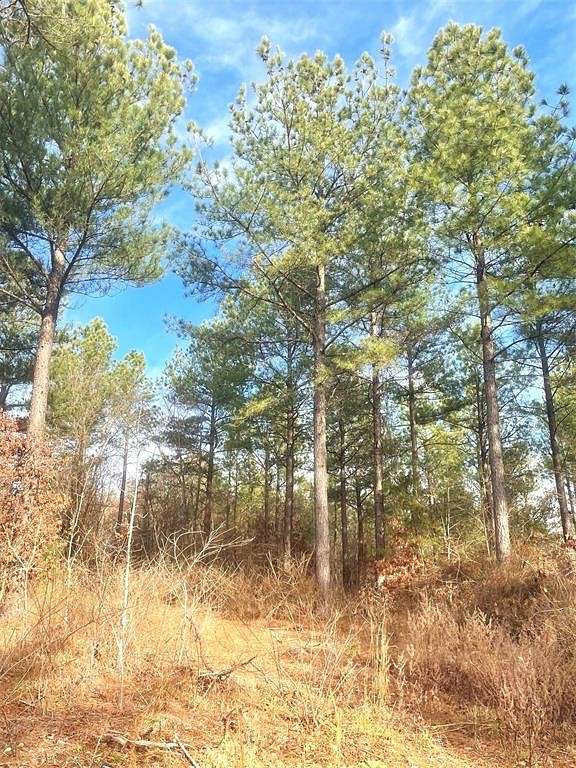 1.201 Acres of Residential Land for Sale in Broken Bow, Oklahoma