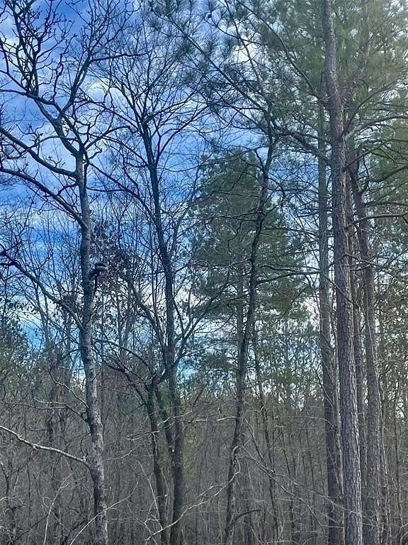 1.2 Acres of Residential Land for Sale in Broken Bow, Oklahoma