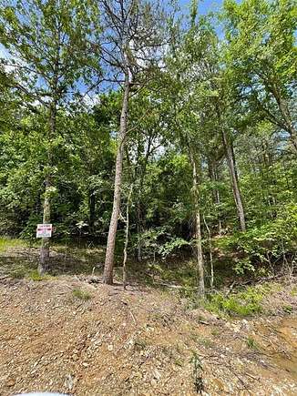 1.199 Acres of Residential Land for Sale in Broken Bow, Oklahoma