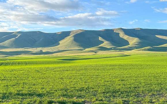 481 Acres of Agricultural Land for Sale in White Swan, Washington