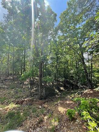 1.2 Acres of Residential Land for Sale in Broken Bow, Oklahoma