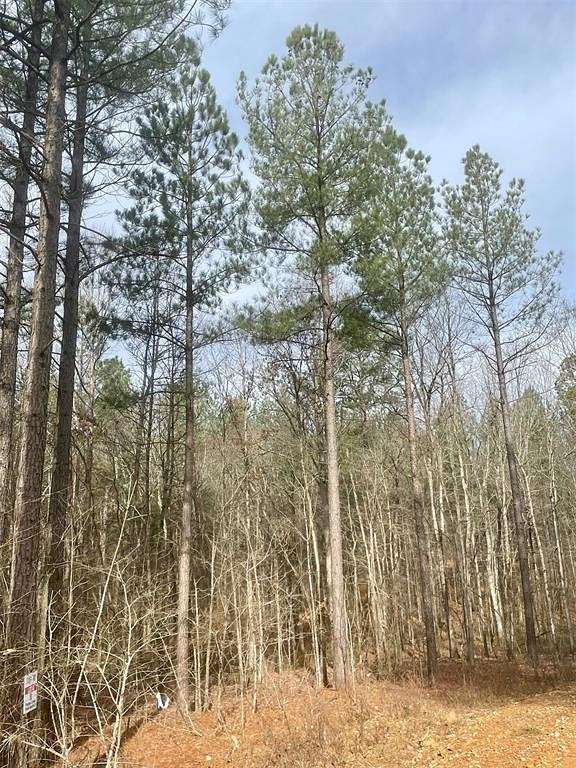 1.232 Acres of Residential Land for Sale in Broken Bow, Oklahoma